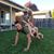 Lindsey Buschbacher's profile image