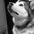 Mary Rivers's profile image