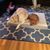 Tiffany Gugino's profile image