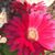 Debra Ann's profile image