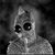 James Summey's profile image