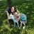 Elizabeth Wilson's profile image