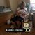 Karen Brandyberry's profile image