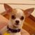 Angela Hockley's profile image