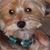 Jean Weber Palmer's profile image