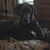 Renee Allen's profile image