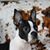 Penny Jodrey Hayslip's profile image