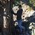 Kyna Schmitt Dhom's profile image