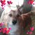 Brenda Horton's profile image