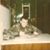 Bob St Louis's profile image
