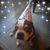 Tracy DeMilio's profile image