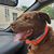 Marilyn McCloud's profile image