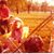 Jennifer Seay's profile image