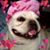 Michael Edward Chambers's profile image