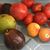 Denise Wimmer Lowe's profile image