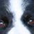 Linda Mooradian Brackenhill's profile image