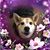 Adena Zimmer-Baker's profile image