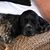 Linda Onstott's profile image