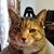Amanda Kay Kercheval's profile image