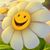 Lisa Purtee's profile image