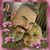 Brent Jago's profile image