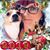 Lica Rios's profile image