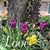 Prisilla Hicks's profile image