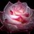 Laura Kilby's profile image