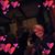 Katt Obie's profile image