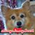 Marion Joyner's profile image