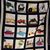 Betty Ann Lurton's profile image