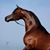 Gerardo Manuel Sauceda Muñoz's profile image