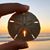 Carlene Fogle Willhide's profile image