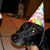 Kathy Kaiser's profile image