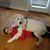 Mary Coletti Harragan's profile image