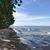 Stacey Foraker's profile image