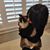 Andrew J Elofson's profile image