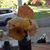 Meg Gillett Trombley's profile image