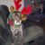 Linda Moore's profile image