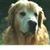 Kirk Schultz's profile image