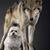 Lori Robbins's profile image
