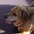Steve Elaine Worley's profile image