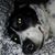 Amy McDowell Sewell's profile image