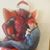 David Tripp's profile image