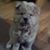 Jo Blain's profile image