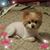 Diane Edwards's profile image