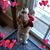 Jeanie Dramby's profile image