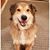 Lyn McKay Stanek's profile image