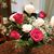 Tammy Schaefer Hicks's profile image