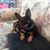 Dawn Cunningham's profile image